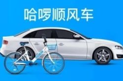 （8分钟科普）海口公司咨询服务电话_哔哩哔哩-3